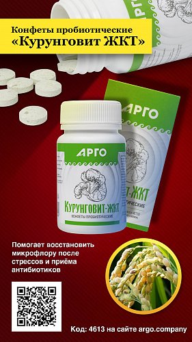 Конфеты пробиотические «Курунговит ЖКТ», 60 шт